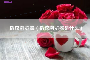 指纹浏览器（指纹浏览器是什么）