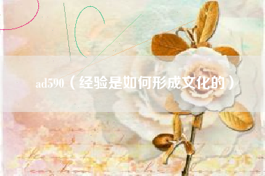 详细阅读:ad590(经验是如何形成文化的) ad590(经验是如何形成文化的)
