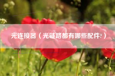 光连接器（光链路都有哪些配件?）