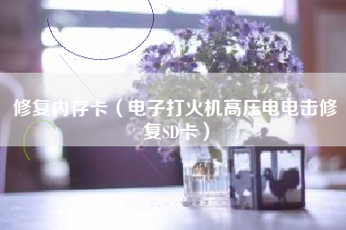 修复内存卡（电子打火机高压电电击修复SD卡）