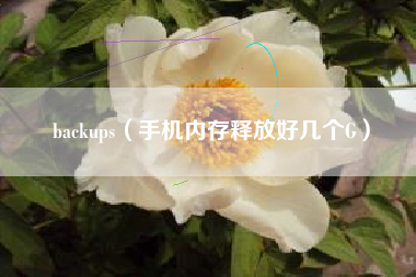 backups（手机内存释放好几个G）