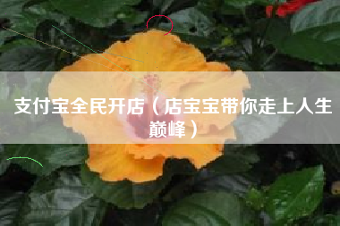 支付宝全民开店（店宝宝带你走上人生巅峰）