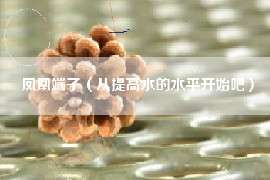 凤凰端子（从提高水的水平开始吧）