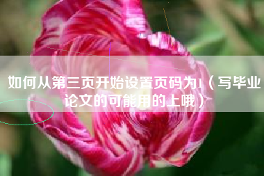 如何从第三页开始设置页码为1（写毕业论文的可能用的上哦）