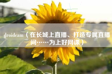 droidcam（在长城上直播、打造专属直播间……为上好网课）