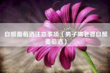自酿葡萄酒注意事项（男子喝老婆自酿葡萄酒）