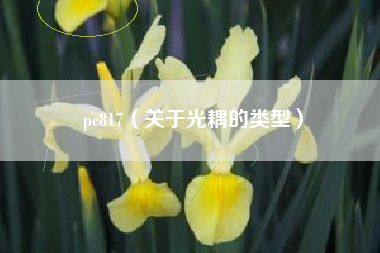 pc817(关于光耦的类型)