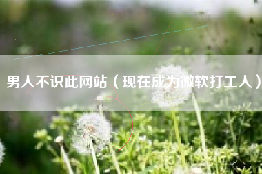 男人不识此网站（现在成为微软打工人）