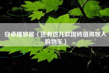 安卓播放器（还有这几款国砖值得放入购物车）