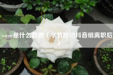 vsync是什么意思（字节跳动抖音组离职后）