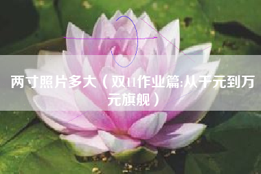 两寸照片多大（双11作业篇:从千元到万元旗舰）