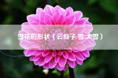 雪花的形状（云仙子:雪!大雪）