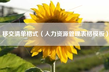 移交清单格式(人力资源管理表格模板)