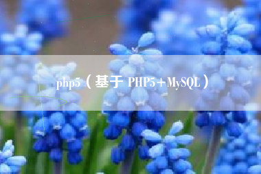 php5（基于 PHP5+MySQL）