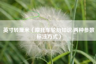 英寸转厘米（摩托车轮胎知识:两种参数标注方式）
