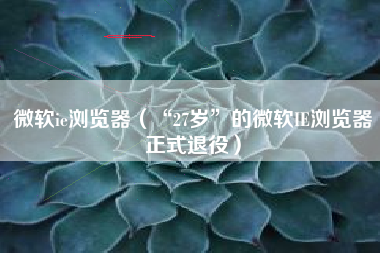 微软ie浏览器（“27岁”的微软IE浏览器正式退役）