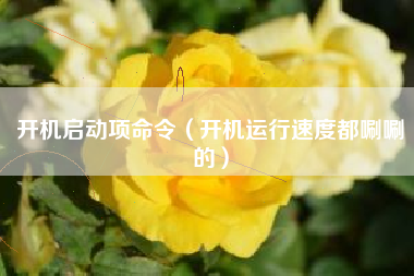 开机启动项命令（开机运行速度都唰唰的）