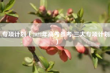 专项计划（2022年高考参考:三大专项计划）