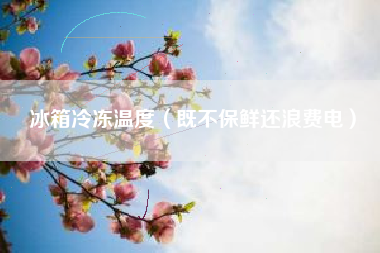冰箱冷冻温度（既不保鲜还浪费电）