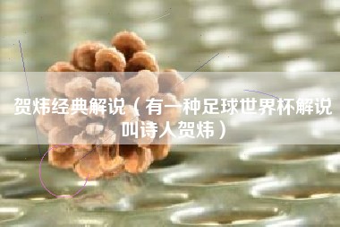 贺炜经典解说(有一种足球世界杯解说叫诗人贺炜)