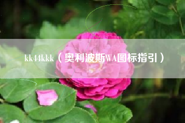 kk44kkk（奥利波斯WA图标指引）
