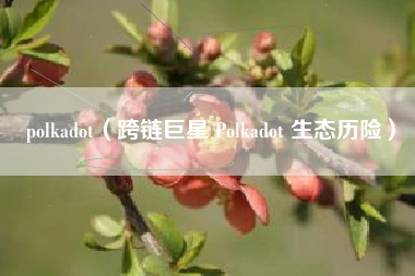 polkadot(跨链巨星 Polkadot 生态历险)