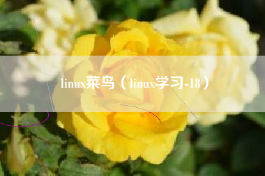 linux菜鸟（linux学习-18）