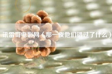 讯雷哥电影网（那一夜他们错过了什么）