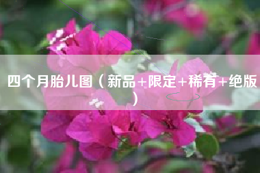 四个月胎儿图（新品+限定+稀有+绝版）