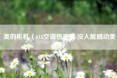 美的柜机（618空调悟空榜:没人能撼动美的）