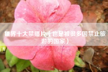 世界十大禁播片(也是被很多国禁止旅游的国家)