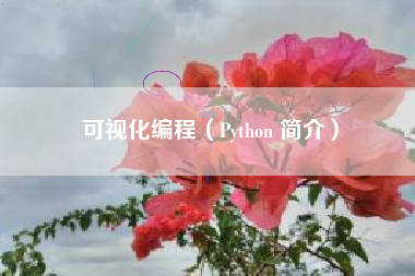 可视化编程（Python 简介）