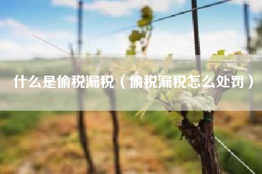 什么是偷税漏税(偷税漏税怎么处罚)
