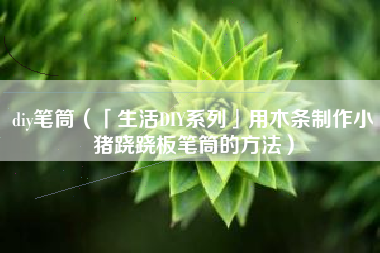 diy笔筒（「生活DIY系列」用木条制作小猪跷跷板笔筒的方法）