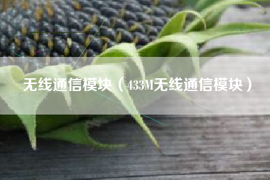 无线通信模块（433M无线通信模块）