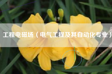 工程电磁场（电气工程及其自动化专业）