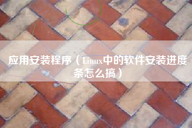 应用安装程序（Linux中的软件安装进度条怎么搞）