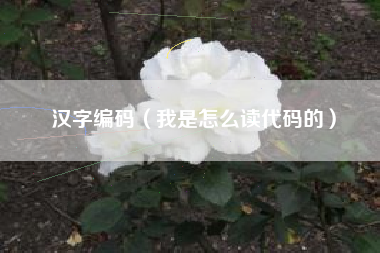 汉字编码（我是怎么读代码的）