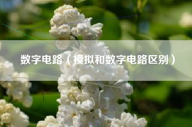 数字电路（模拟和数字电路区别）