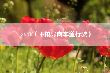 567fff(不按导向车道行驶)