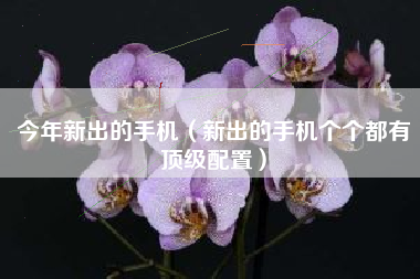 今年新出的手机(新出的手机个个都有顶级配置)