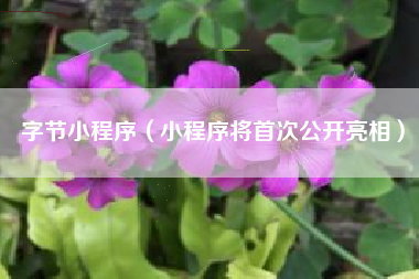 字节小程序（小程序将首次公开亮相）