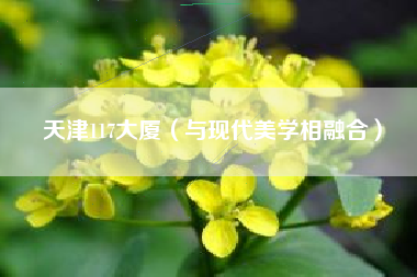 天津117大厦(与现代美学相融合)