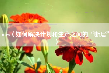 mes（如何解决计划和生产之间的“断层”）