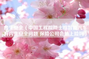 内生安全（中国工程院院士称智能汽车有内生安全问题 保险公司会给上险吗）