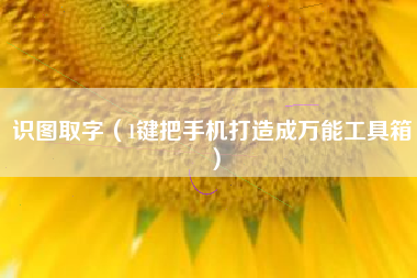 识图取字（1键把手机打造成万能工具箱）