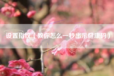 设置指纹（教你怎么一秒出示健康码）