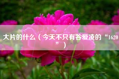 大片的什么(今天不只有谷爱凌的“1620”)