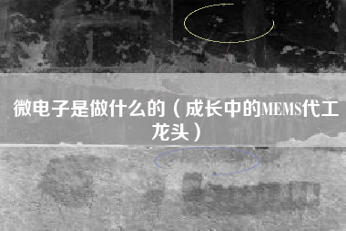 微电子是做什么的(成长中的MEMS代工龙头)