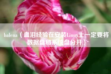 balena(血泪经验在安装Linux上一定要将数据盘和系统盘分开)